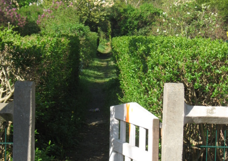 A la découverte de la cité-jardin de Stains