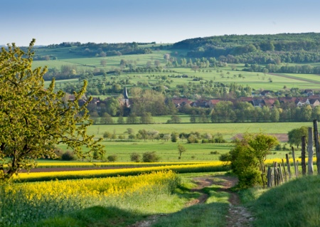 Découvrons les richesses de l’Alsace Bossue