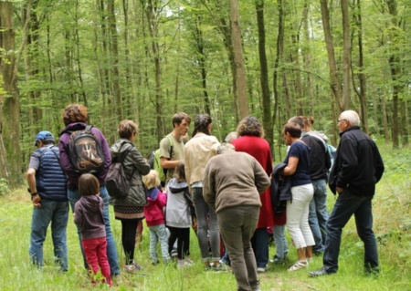 À la découverte du milieu forestier