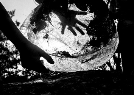 Visite et atelier autour de l'exposition "Charlotte Perriand, photographies"