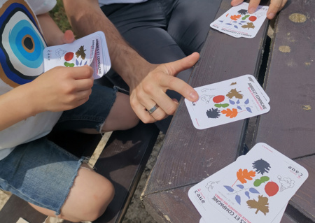 Jeu de 7 familles végétales : Balade découverte des combes de Saint-Aubin