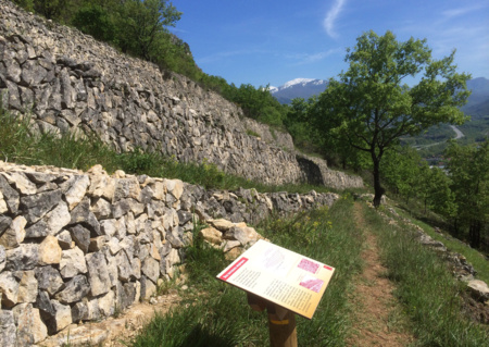 Parcours d'interprétation d'un site de terrasses de cultures en pierre sèche sur les hauteurs de Foix