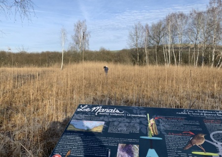 Découverte de la biodiversité du marais