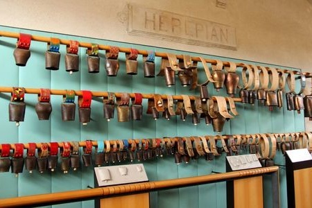 Visites et Ateliers découverte : de la Gare au Musée.