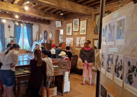 Visites commentées du musée de la Thiérache