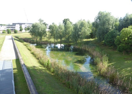 Le patrimoine au cœur de l’écoquartier Monges Croix du Sud