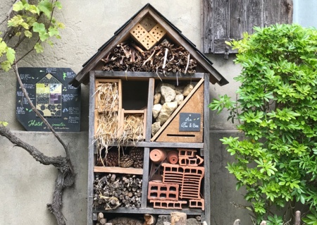 Accueillir la Biodiversité sur un site