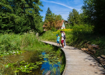 Découverte du patrimoine naturel