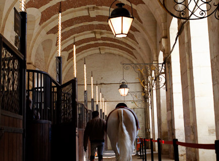 Découverte de l'Académie équestre de Versailles