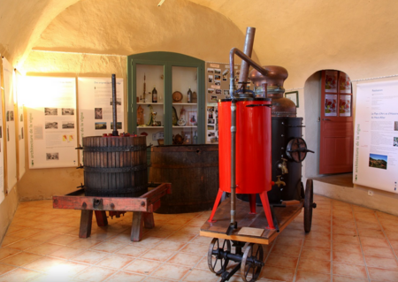Visite guidée du musée de la vigne et du patrimoine