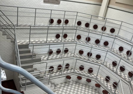 Enseigner la médecine à Lyon... toute une histoire !