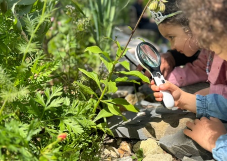 Comment faire de l’art avec les plantes ?