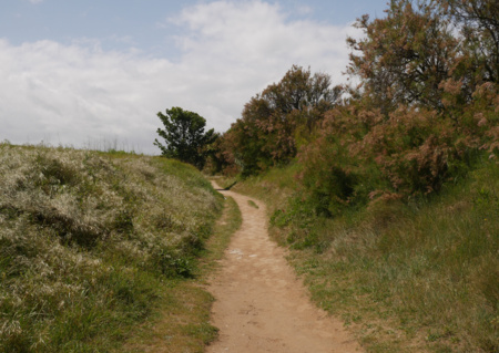 Devinerez-vous l'histoire cachée sous ses dunes ?