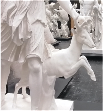 Atelier - Les animaux au musée