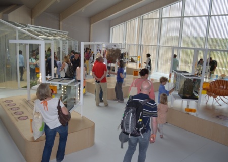 Visite de la Maison des insectes