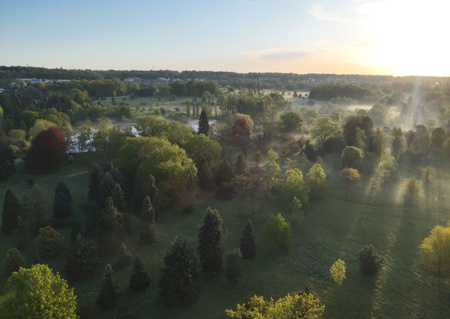 Découverte de l'Arboretum