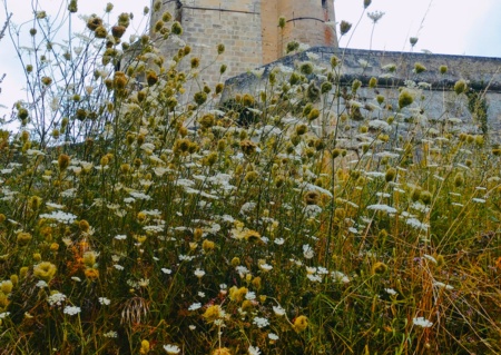 Visite du châtelet et des carrières