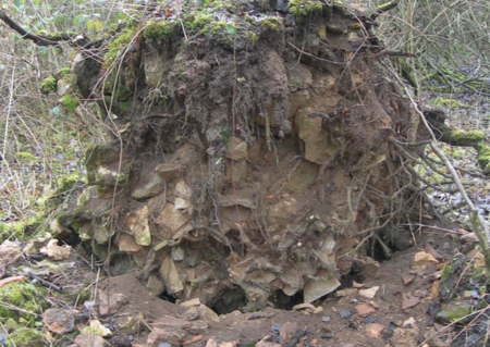 Le patrimoine archéologique des forêts françaises