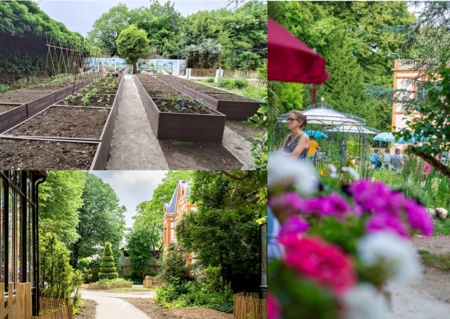 Visite pédagogique du potager "Le Goût du Vert" : c'est quoi un jardin bio ?