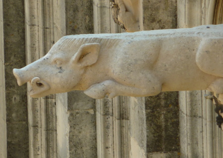 Ça gargouille, une cathédrale ?