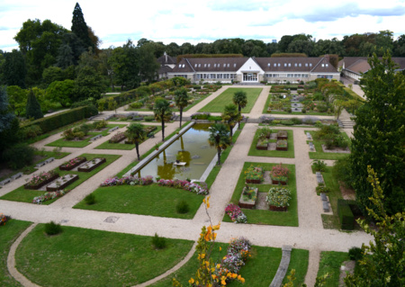 Visite et atelier : Botanistes en herbe
