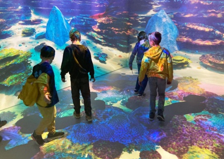 Visite animée de la Maison de la Nature et du Tourisme