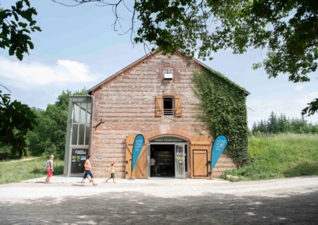 Animations autour de la biodiversité