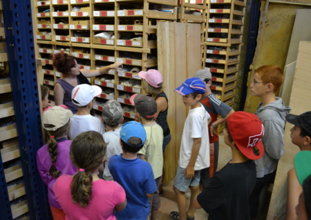 Visite du site archéologique Lattara et découverte des réserves archéologiques