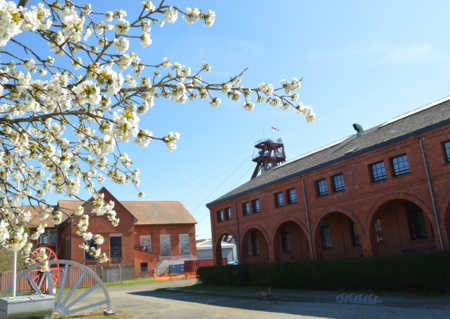 Visite guidée du Musée de la Mine et de la Potasse - Carreau Joseph-Else