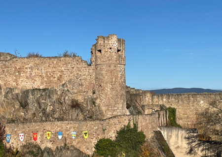 Visite découverte du Château du Hohlandsbourg