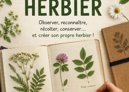 Atelier Création d'un herbier