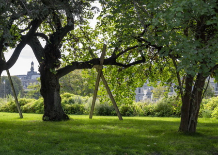 L’arbre, l’oiseau et le jardinier