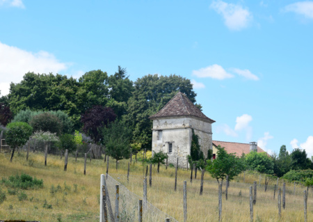 A la découverte de l'histoire de Tocane-Saint-Apre