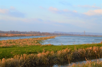 A la découverte des Marais de la Dives