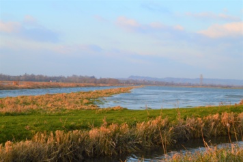 A la découverte des Marais de la Dives