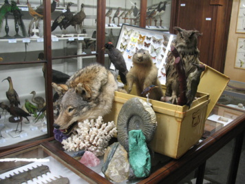 Société d’Histoire naturelle de Savoie