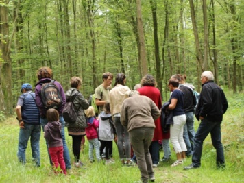 À la découverte du milieu forestier