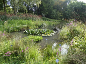 Découverte du jardin botanique et de sa serre