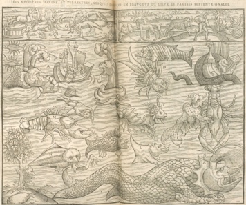 Histoire et techniques de la gravure