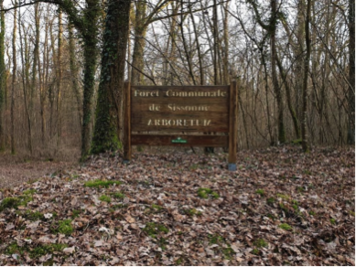 Découverte du patrimoine naturel de l'arboretum de Sissonne