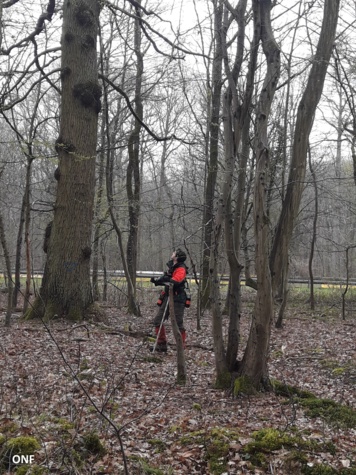 La Forêt Cultivée