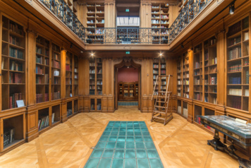 Visite de la bibliothèque Smith-Lesouëf en passant par le parc de la Fondation des Artistes