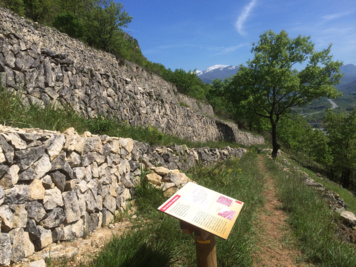 Parcours d'interprétation d'un site de terrasses de cultures en pierre sèche sur les hauteurs de Foix