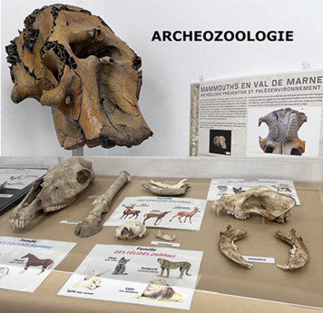 Découverte des métiers de l'archéologie