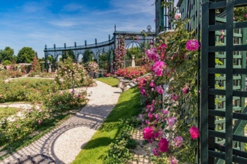 Visite guidée de la Roseraie du Val-de-Marne et atelier technique de bouturage