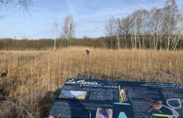 Découverte de la biodiversité du marais