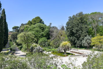 Le Jardin des plantes de Montpellier, au carrefour de l'Histoire et de l'Ecologie