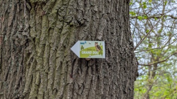 Balade Nature au Sentier du Grand Duc