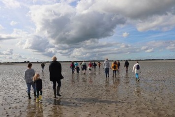 Oiseaux hivernants et patrimoine naturel du littoral normand
