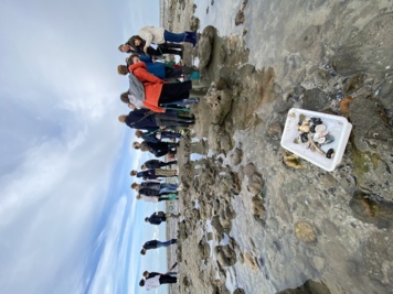 Pêche à pied naturaliste